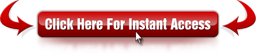 The Fast Profit System-order-now